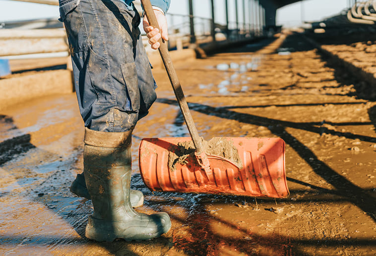 Crew clearing flood water from a property