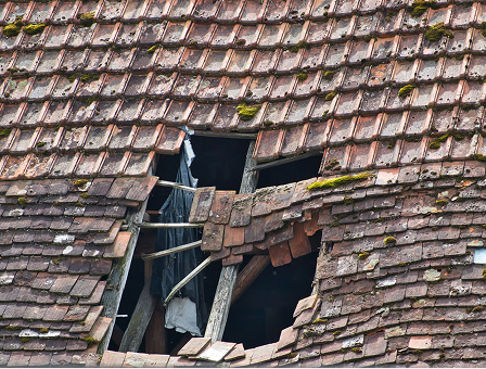 Damaged shingles