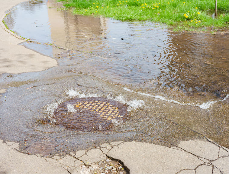 Sewer backups
