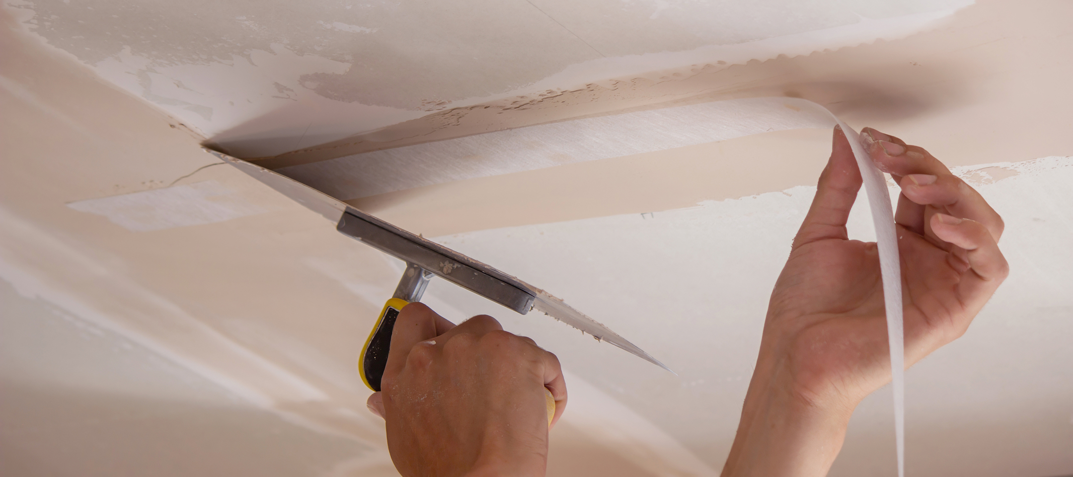 Ceiling & Roof Leak<br> Repair Services