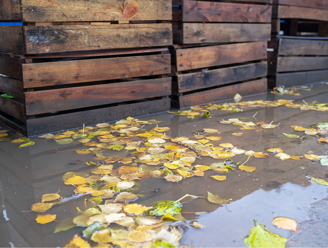 Flooded Basement Cleanup