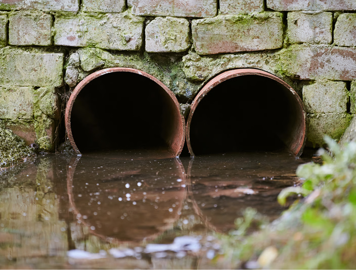 Sewage Backup Cleanup