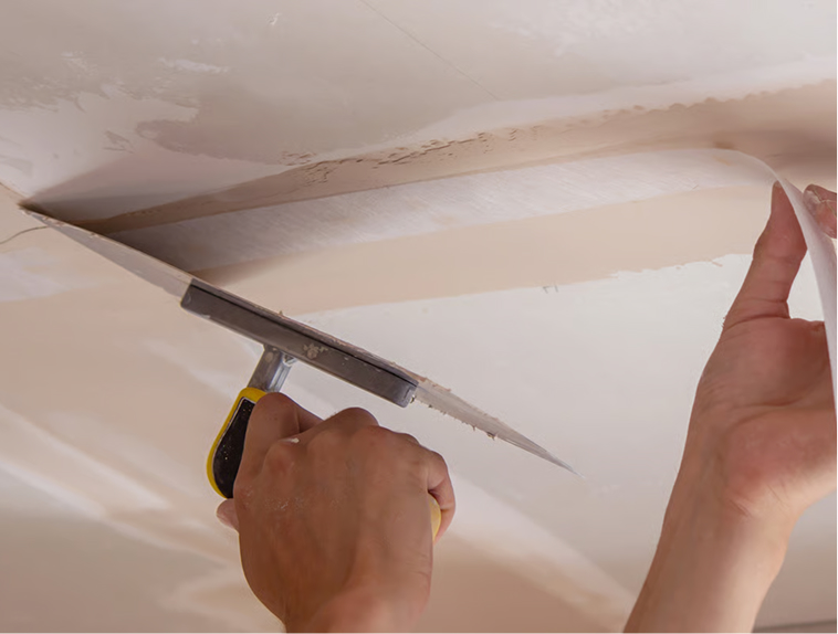 Ceiling repairs