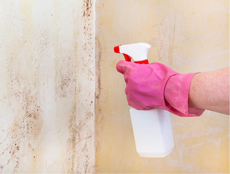 Mold prevention