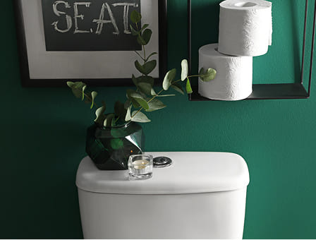 Backed-up toilets