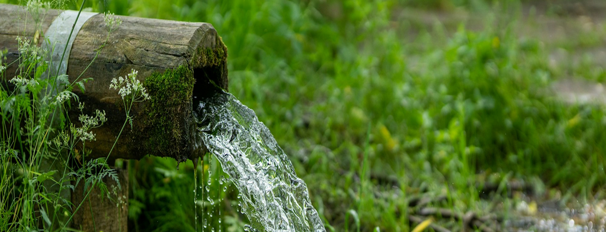 Lorem ipsum dolor sit amet, consec tetur adipiscing elit.